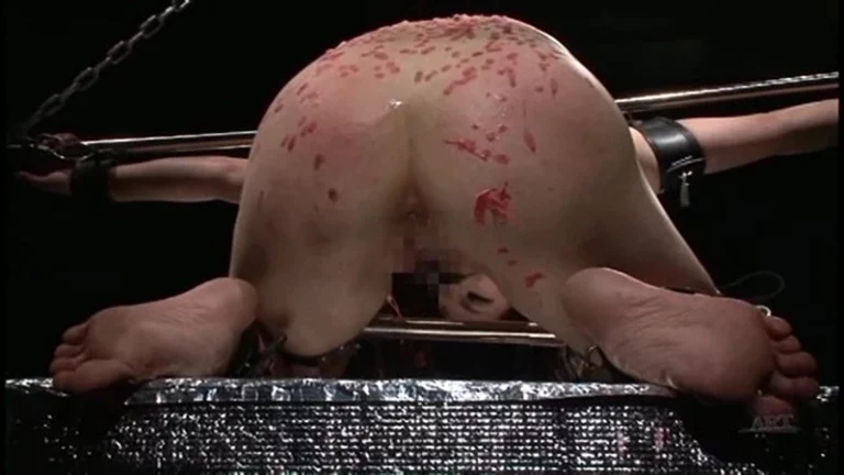 ADV-SR0034 エネマの快楽 17 Omnibus Tied Yuria Hidaka 総集編 浣腸 オムニバス SM Niimura Mariko Hidaka Yuria Aoyama Hiyori