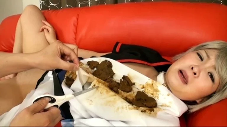 LIA-604 ウンチまみれのアニコス女 11 ア●カ・ラングレーと坂●銀時 スカトロ 企画 Enema Planning