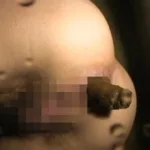 VRXS-034 Ｖ＆Ｒ 深海 上半期総集編 Shinkai Defecation