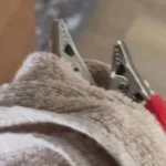 OMHD-001 Fuyue Kotone 通電ショック洗脳実験 の電気実験を使って少女を完全にマインドコントロールする監禁術 Dogma Deep Throating