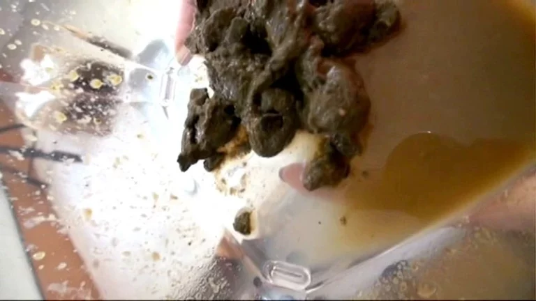 GCD-721 プレミアレースクィーンうんち2 美人大便GP第二弾 … 水着 コスチューム 下着（フェチ） Defecation Fetish Scat 盗撮