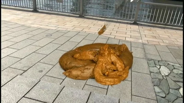 PSD-024 排泄の巨人 Scat 乱交 フェチ その他フェチ Kuroda Mayo Tokui Yui Enomoto Ayame Kitazawa Aoi