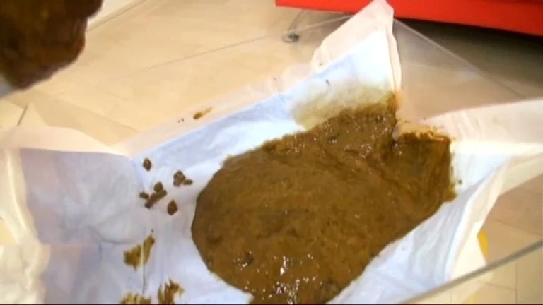 STD-407 ウンチ買取堂5 初見せだらけ 純情すぎる黒髪乙女のみ揃えました Scat スカトロ レイディックス