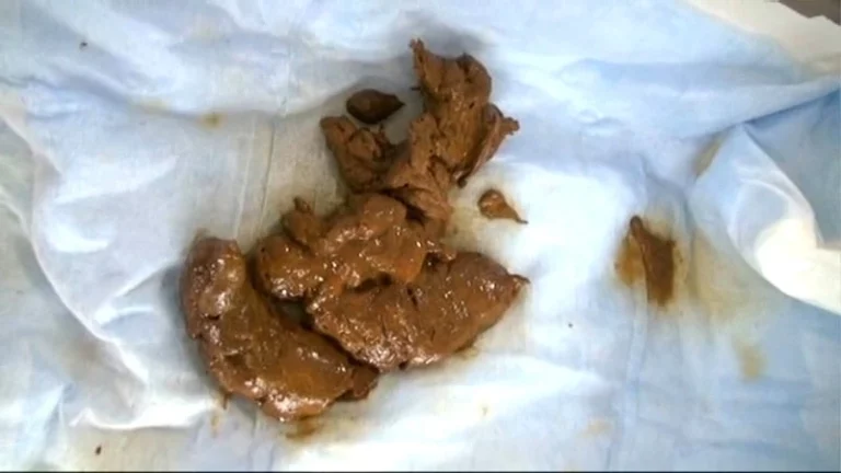 STD-407 ウンチ買取堂5 初見せだらけ 純情すぎる黒髪乙女のみ揃えました Scat スカトロ レイディックス