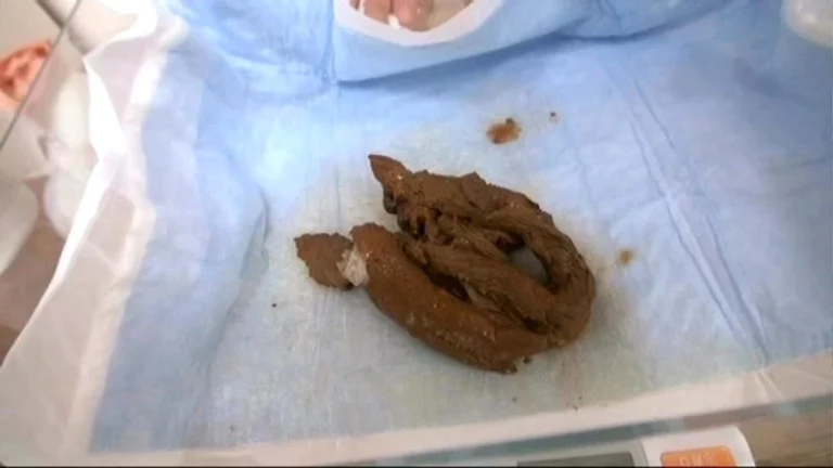 STD-409 ウンチ買取堂7 ビックリ仰天 迫り来る巨大ウンチを体感セヨ 相田ユリア Yuria Aida Saya Takazawa 森野ひなの 飲尿 Golden Showers レイディックス