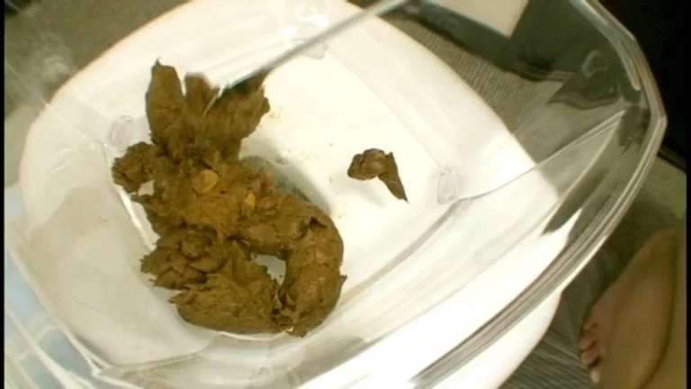 TAN-407 素人うんこだらけ 7 Defecation Amateur