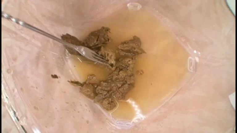 TAN-410 素人うんこだらけ 10 脱糞 レイディックス