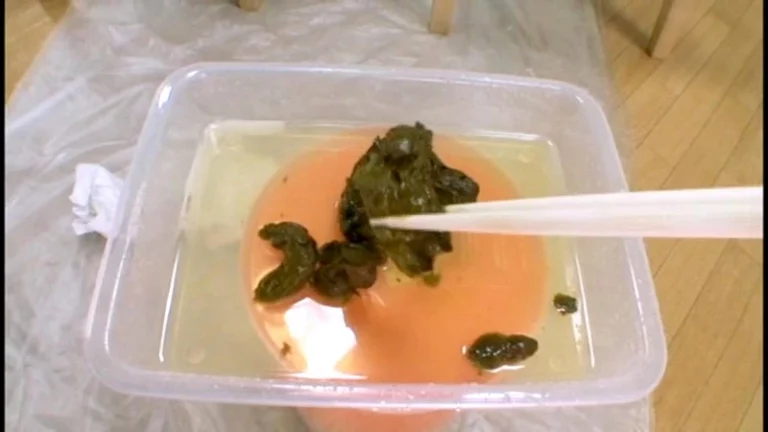 TAN-412 素人うんち倶楽部 2 脱糞 Scat