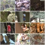 JCND-02 隠撮チアガール 野グソ野ション 2 Voyeur Scat 盗撮 Post Other