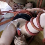 ATID-220 触手に溺れて 巨乳妻、貞操崩壊 水城奈緒 監禁 人妻 Rape アタッカーズ Tentacles GORY松田