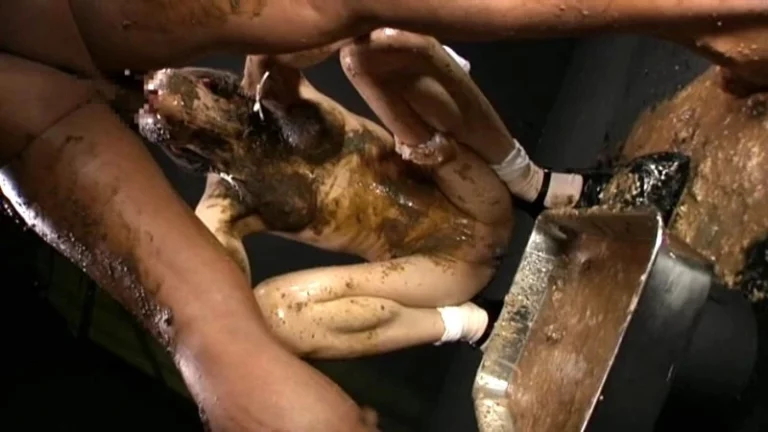 DDT-450 スカトロ全集 西村あみ 笠原ひろみ Omnibus 優木あおい Lesbian Scat