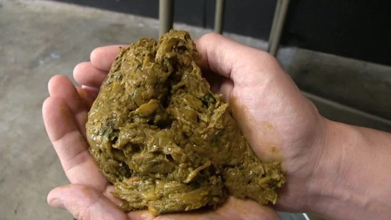 VRXS-062 雌糞生産工場 自然便主義 Scat スカトロ Eri Makino