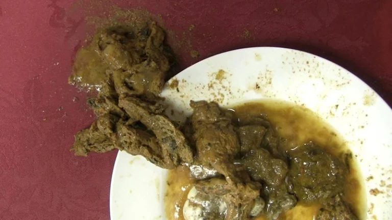 VRXS-077 脱糞レストラン メイド系 V＆R 紫月いろは 深海 Scat