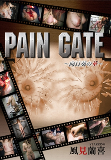 DDSC-002 PAIN GATE 向日葵の華 SM 拷問・ピアッシング