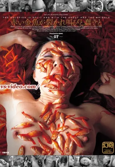 GEN-007 赤い金魚が裂かれ叫びと蠢きと 天野大吉 AVS COLLECTOR’S Extreme