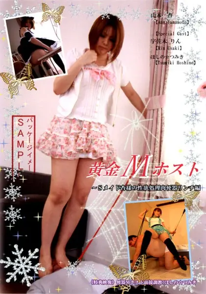 PG-12 黄金Mホスト Sメイド杏様の性欲処理肉便器リンチ編 調教 Costume Torture 120分 Tied