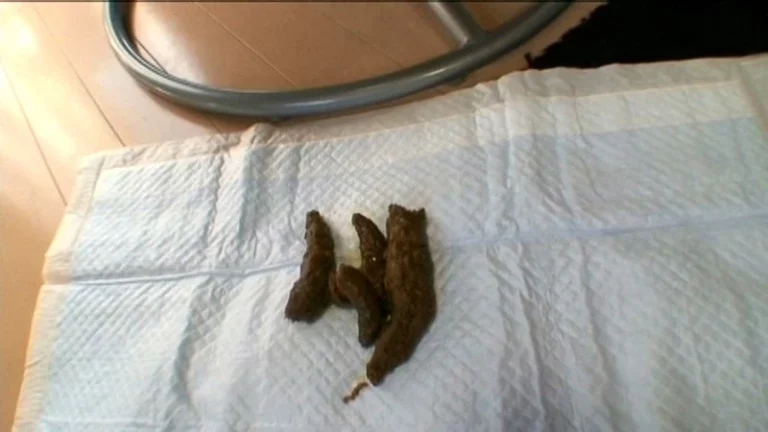 ODV-269 太便女子大生の排泄事情全て見せます Outlet Amateur Schoolgirls Scat スカトロ