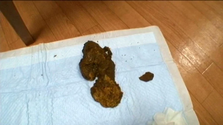 ODV-273 お姫様は毎日が巨太便 Pleasure Outlet 脱糞 Defecation