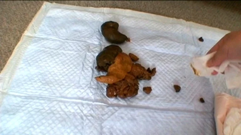 ODV-273 お姫様は毎日が巨太便 Pleasure Outlet 脱糞 Defecation