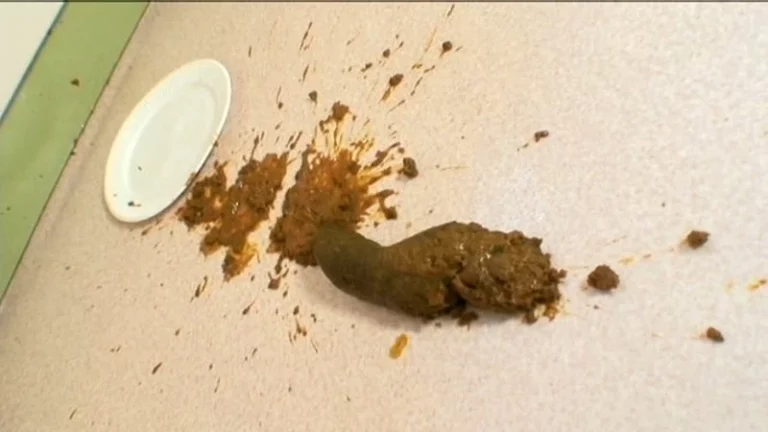 ODV-277 下品に豪快大脱糞 実家で絶叫レースクイーン Defecation Amateur スカトロ Scat