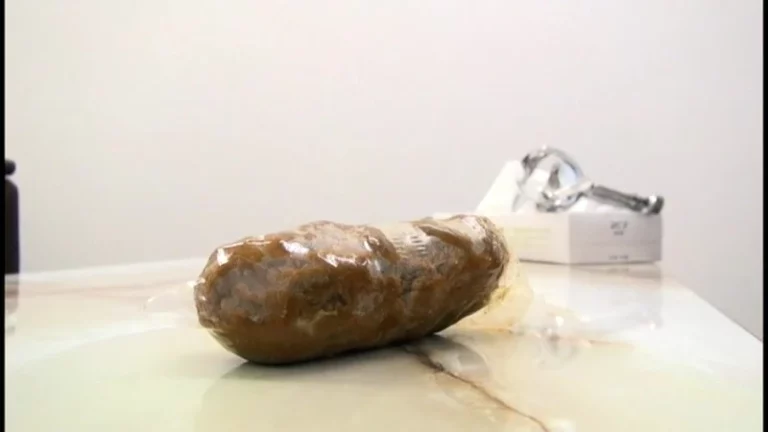 ODV-337 うんこでち○こ フェラ面接 Scat Amateur スカトロ 大塚フロッピー