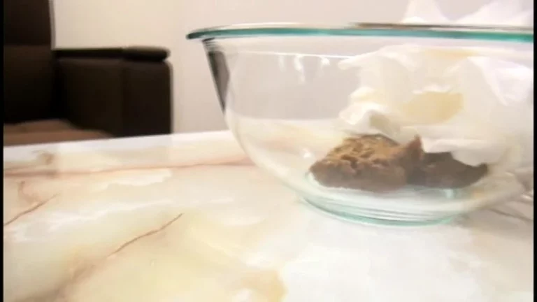 ODV-337 うんこでち○こ フェラ面接 Scat Amateur スカトロ 大塚フロッピー