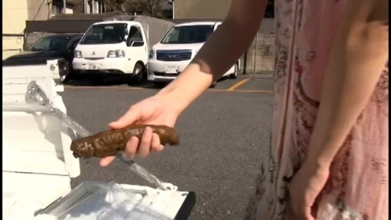 ODV-338 臭い・音モレ 要注意 路上臨時仮設トイレット Scat