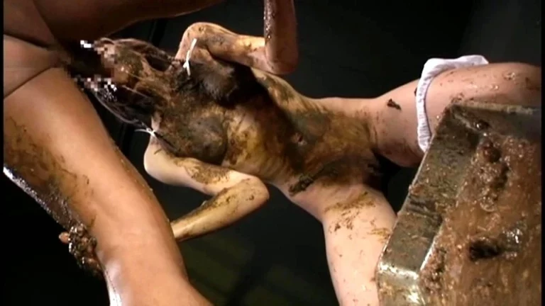 PTJ-011 プラチナTOHJIROレーベル・ベスト 2 Anal 247分 Enema レズ スカトロ Omnibus みづなれい 総集編 Lesbian Scat