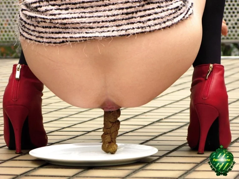 ZONO-011 3Dうんこ Planning 222分 3D Work 瀬奈ジュン 小野こゆき Scat 脱糞 Sena Jun Kuroda Mayo