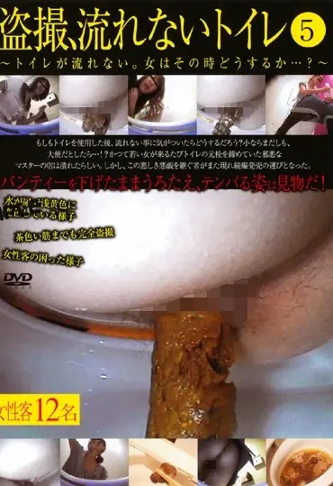 DSDA-65 盗撮、流れないトイレ 5 Voyeur トイレ(盗撮) Scat