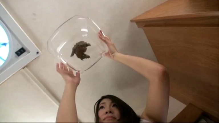 GCD-720 プレミアレースクィーンうんち S級レースクィーンが初脱糞 … Costume Scat Defecation フェチ