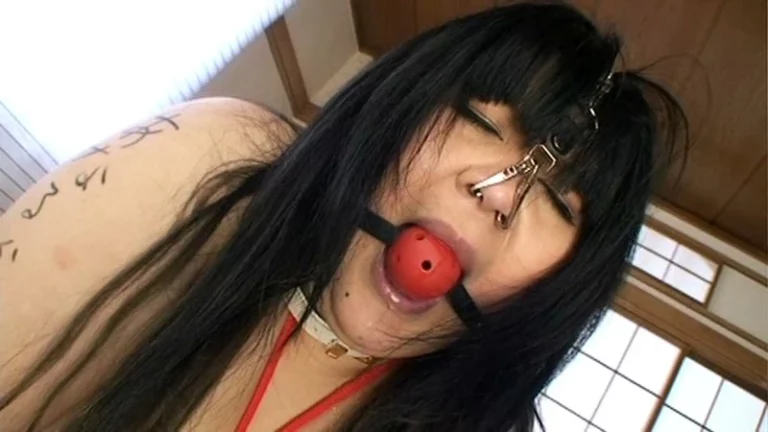 NEO-515 ぶた肉便器 アナル崩壊記録4時間 Piss Drinking レイディックス Other Anal スパンキング・鞭打ち 浣腸s e Hook ぽっちゃり・巨漢 Fat SM