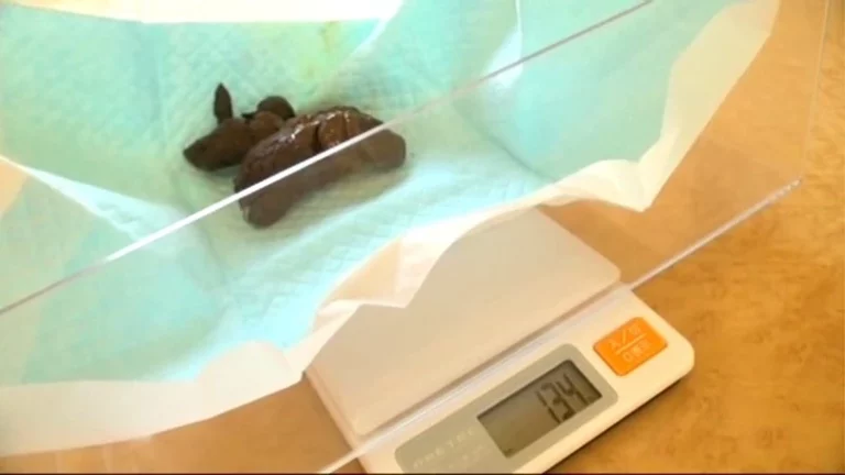 STD-404 ウンチ買取堂2 アナタのうんち100g1000円で売って下さい Pregnant Women 西園あみ 妊婦