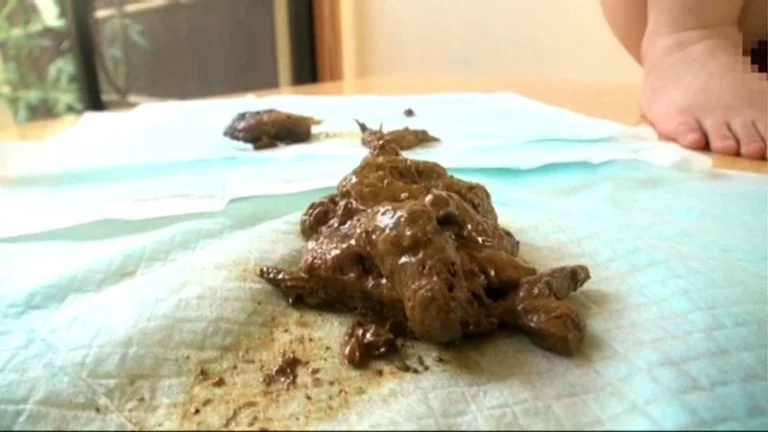 STD-404 ウンチ買取堂2 アナタのうんち100g1000円で売って下さい Pregnant Women 西園あみ 妊婦