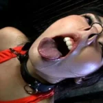 CMN-084 恥辱の女潜入捜査官5 鼻畜拷問 Fukada Rina ゲロ SM 鼻フック シネマジック Bondage