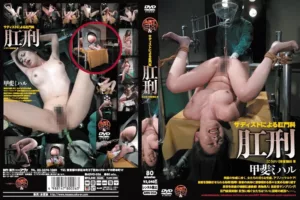 ADVO-026 Kai Miharu (甲斐ミハル) 肛刑 ArtVideo SM Anal