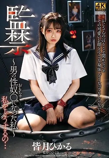 DDHH-020 Minatsuki Hikaru 監禁～男の性奴○になった私～ Dogma