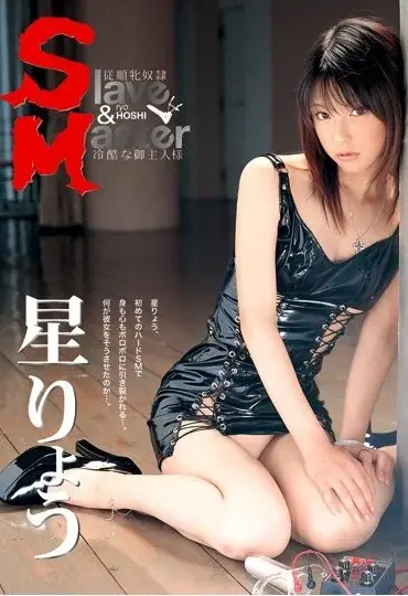 DSM-04 Hoshi Ryou Slave＆Master＃4 桃太郎映像出版 Restraint