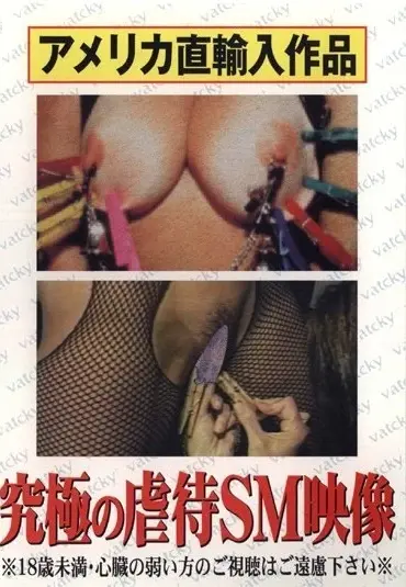 VDFL-001 究極の虐待ＳＭ映像 Vakki- その他レーベル