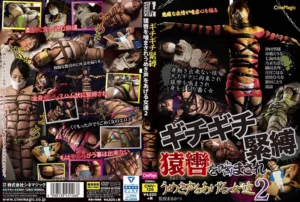 CMV-126 Nanami Yua, Tsukimiya Koharu ギチギチ緊縛 猿轡を噛まされうめき声をあげる女達2 シネマジック CineMagic