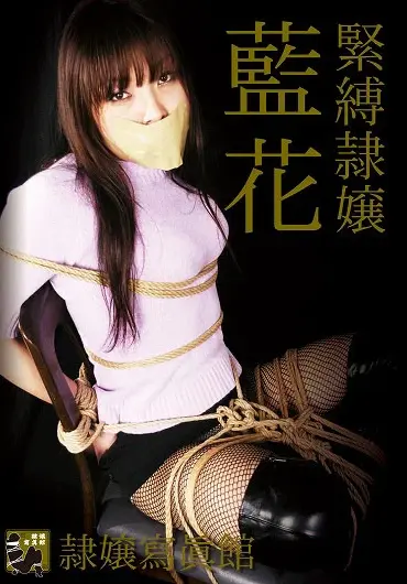 DDID-005 Aika 緊縛隷嬢 Rei Jou Shashinkan