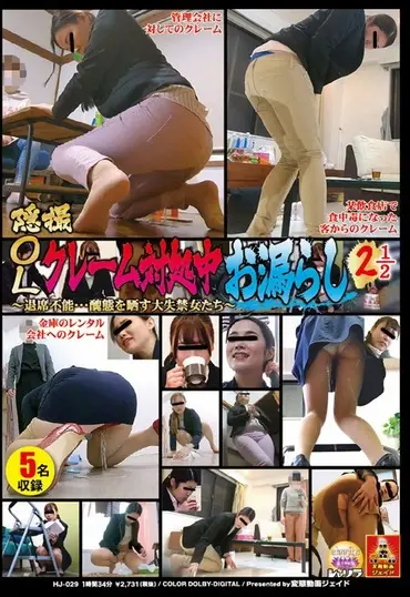 HJ-029 隠撮 OLクレーム対処中お漏らし 2 1／2 ～退席不能・・・醜態を晒す大失禁女たち～ Hentai Douga Jeido