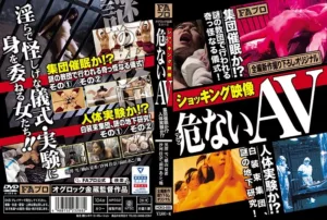 HOKS-088 Yokoyama Natsuki ショッキング映像 危（アブ）ないAV Maeta Ako FA Pro