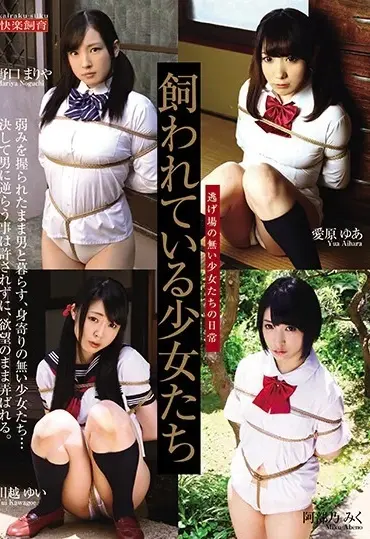 STD-31 Noguchi Mariya 飼われている少女たち Kawagoe Yui Kairaku Shiiku Training