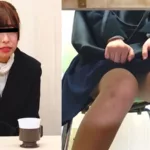 HJ-029 隠撮 OLクレーム対処中お漏らし 2 1／2 ～退席不能・・・醜態を晒す大失禁女たち～ Hentai Douga Jeido