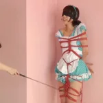 TNH-019 Nanami Yua 雪村春樹継承緊縛 Vol．2 Y＇S PLAY BONDAGE … ボンデージ 監禁・拘束 辱め S & M Sniper
