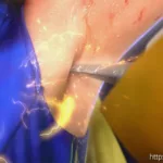 SPSE-94 Yuki Yoshizawa (吉澤友貴) Fight! Space Woman Part 2 Episode 50 The Terror of the Space Insect Monster Bugzer GIGA（ギガ）