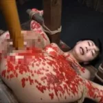 DDT-575 堤さやか, 笠木忍, 宝来みゆき M女の神髄ベスト Vol.1 辱め 253分 Choking Dogma
