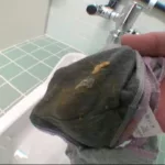 VICD-250 排便盗撮１５名！ 脱糞中に盗撮カメラに気付いてウンコ漏らす女達 Vi Voyeur Defecation