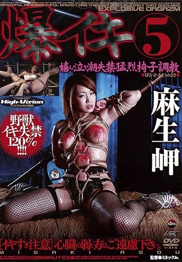 ADV-R0288 麻生岬 爆イキ 5 嬉し泣き潮失禁猛烈椅子調教 Bondage Tits おっぱい Minekku Jr.